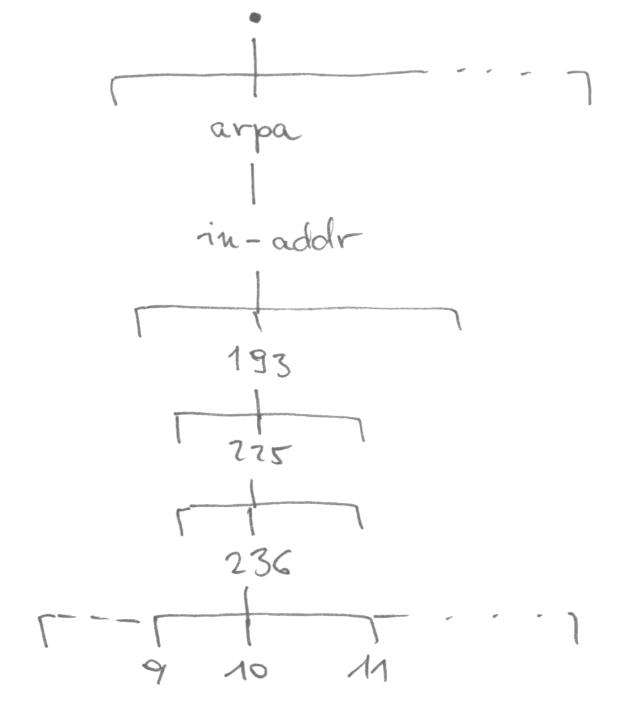 DNS rszlet - fordtott keresshez